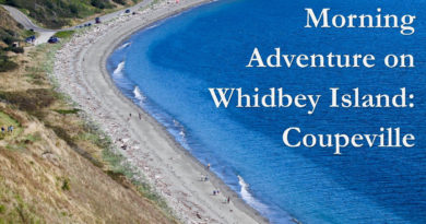 Morning Adventure on Whidbey Island: Coupeville